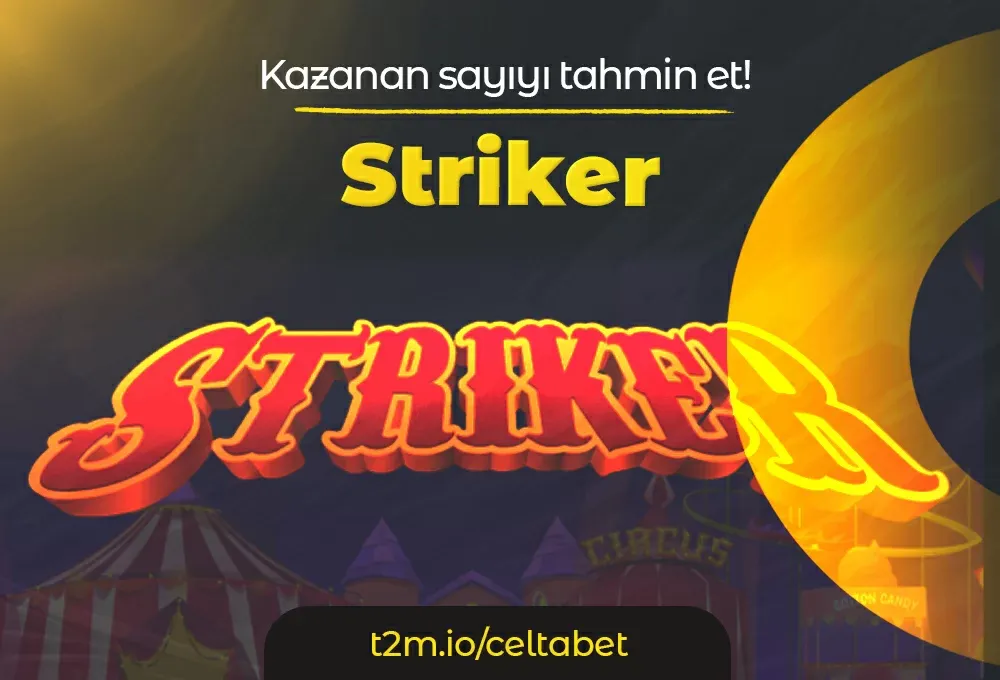 Striker Oyunu